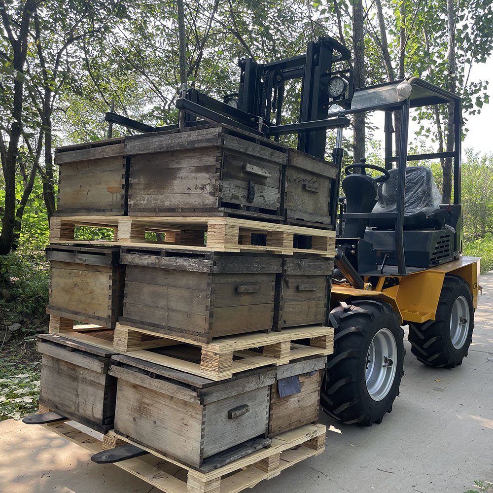 Kubota EPA Diesel Engine GM1000 Beekeeping Forklift Truck with Lifting Capacity 1000kgs